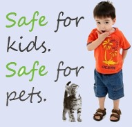 carpet cleaners in Derby using safe cleaning products