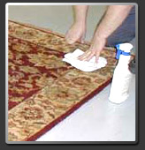 stain removal guide by Carpet cleaning Derby S.P